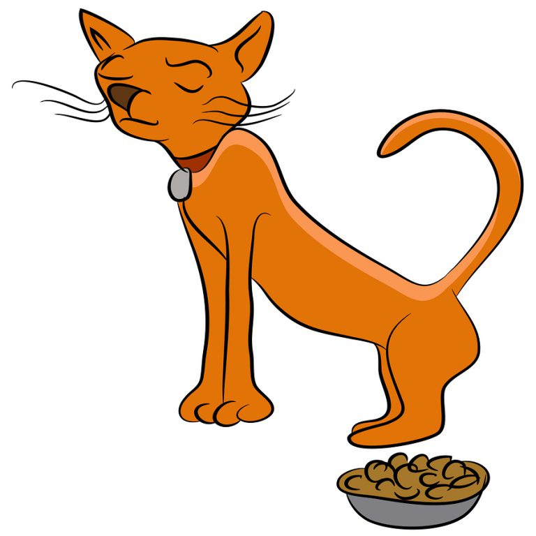 top-rated-cat-food-for-your-picky-eater